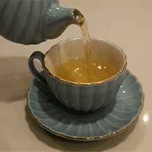 523ad56a0736c5866f8c12af9b1e7794.gif