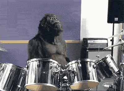 giphy.gif