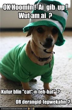 afe3cd6e6185f9d6f43c77d6f5a1df27.jpg