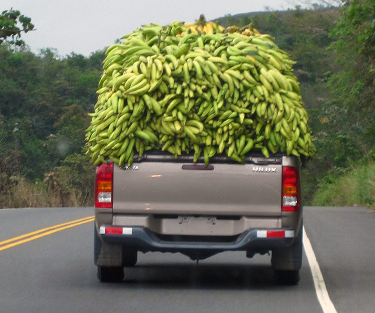 BananasInTruck1.jpg