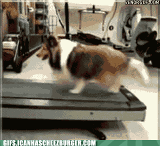 PaA1e80s6UO0mWi3o1Xxjg2.gif