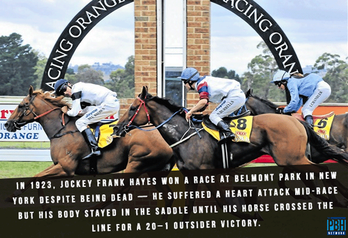the-dead-jockey.png