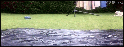 ani_slip-n-slide-pose.gif