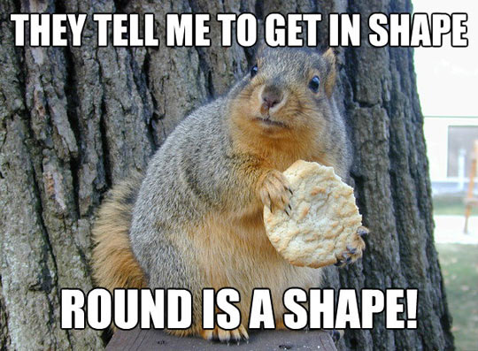 funny-squirrel-shape-round1.jpg