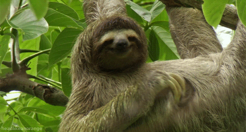 1N7.gif