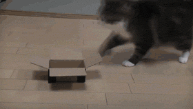 if-it-fits-i-okay-nevermind