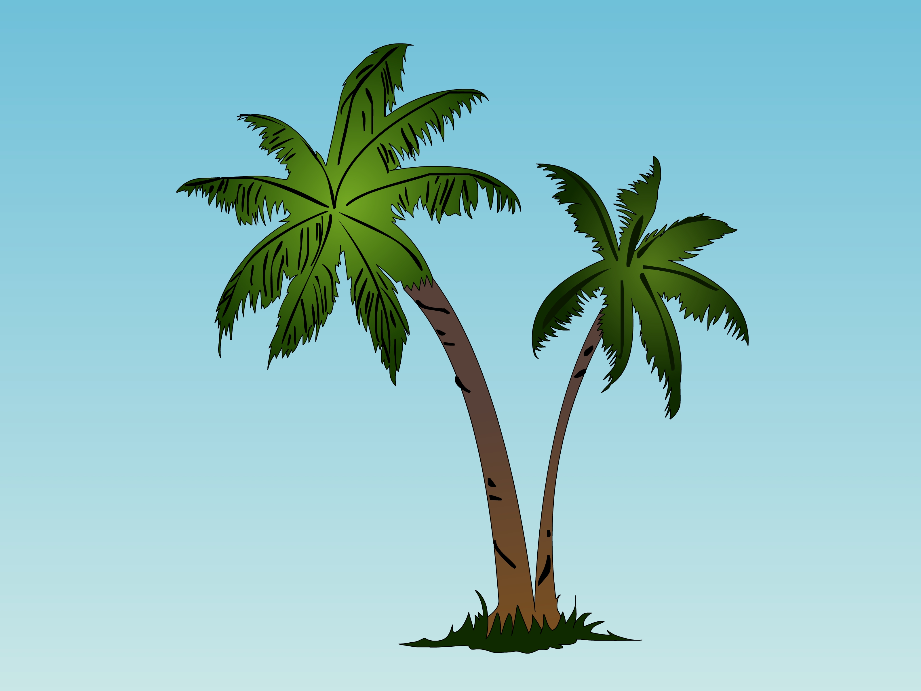 Draw-a-Palm-Tree-Step-17-Version-2.jpg