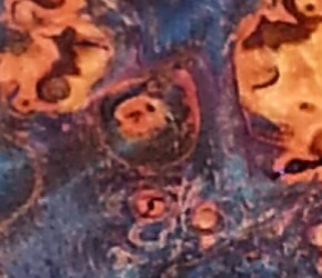 20508836108_5c3e9bcb51.jpg