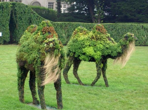00627cc68ffeaef5fef01ac703ff5564--topiary-garden-topiaries.jpg