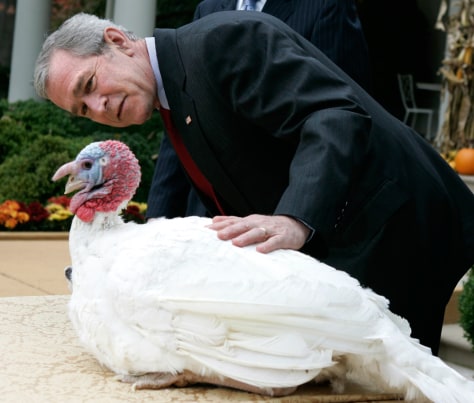 081027-pardon-turkey-hmed-3p.grid-6x2.jpg