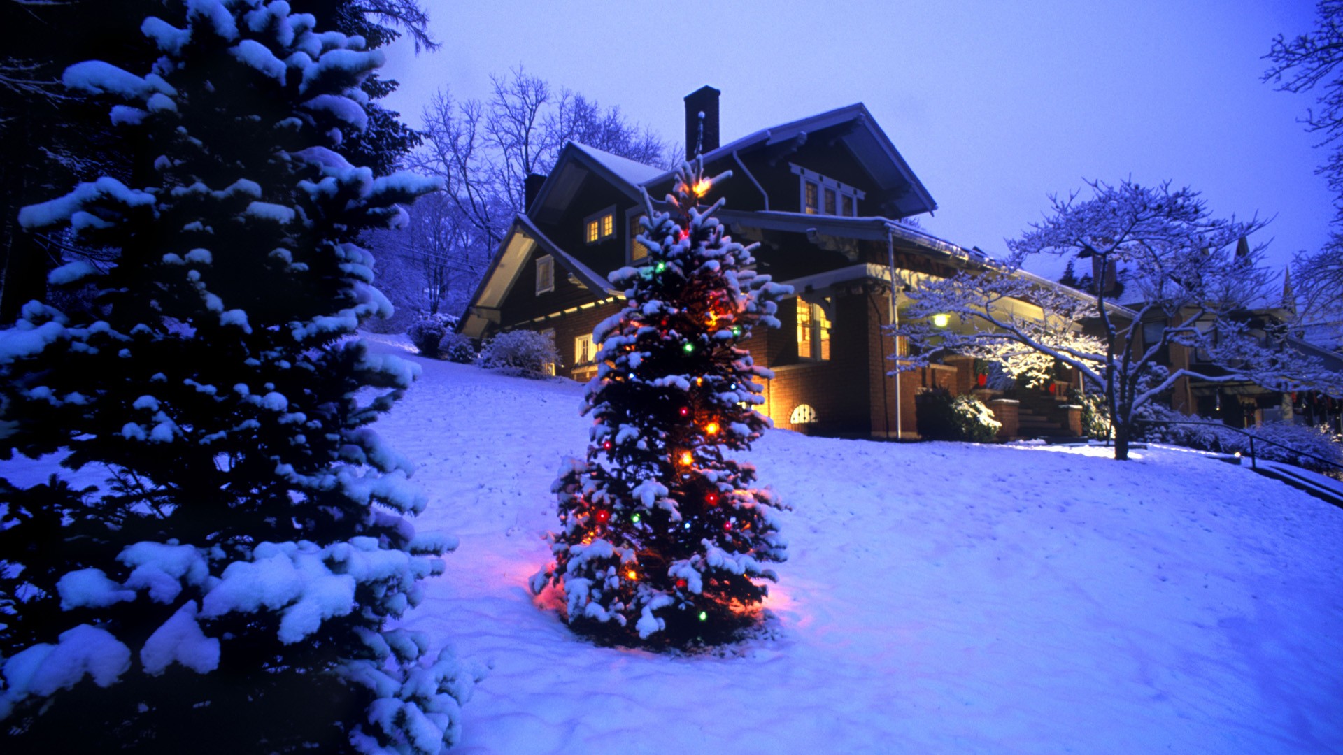 Beautiful-Christmas-Tree-Wallpapers-8.jpg
