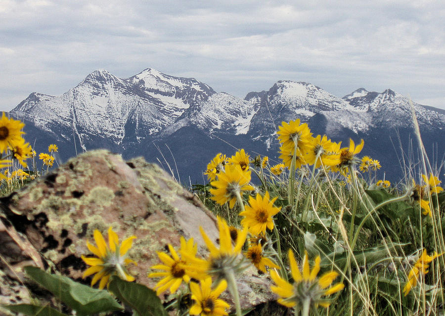 1-springtime-in-the-rockies-ron-mroski.jpg