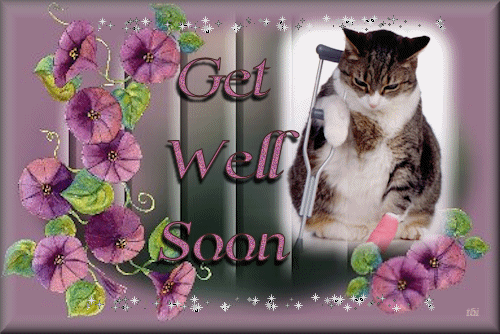 get-well.gif