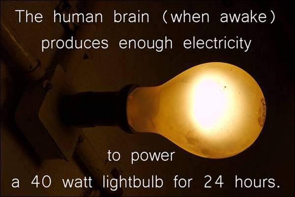science_fact_07.jpg