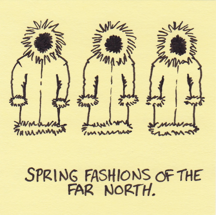 spring-fashions-of-the-north.jpg