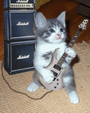 44Uc0iA.gif