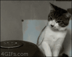 2c7e0c7a5188eeadac5f3aee6b5c4fbd.gif