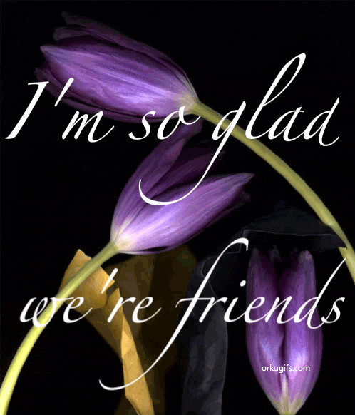 im-so-glad-were-friends_1271.gif