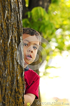boy-behind-tree-5424704.jpg