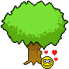 carve-a-tree.gif