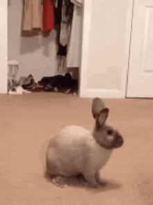 shocked-surprised.gif