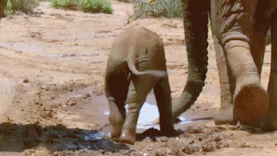 todays-lesson-mud-is-slippery