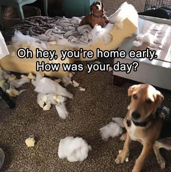 54e5c2f08429e0eb2b51ac8a6f8ee8ba.jpg