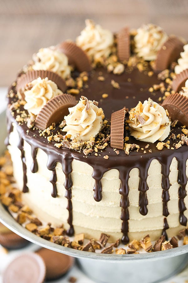 Peanut-Butter-Chocolate-Cake2.jpg