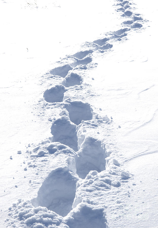 bootprints-in-the-snow-gordon-warlow.jpg