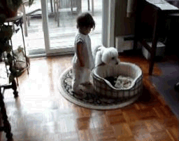 hey-thats-my-bed-kid