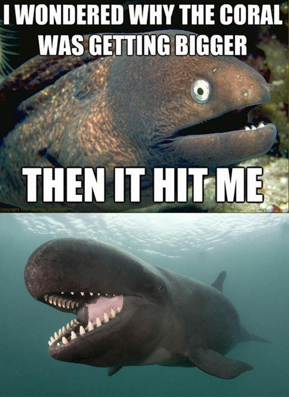 Do4qSsx.jpg