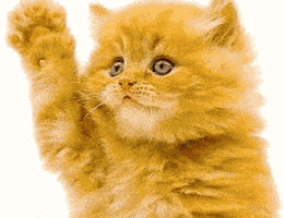 200.gif