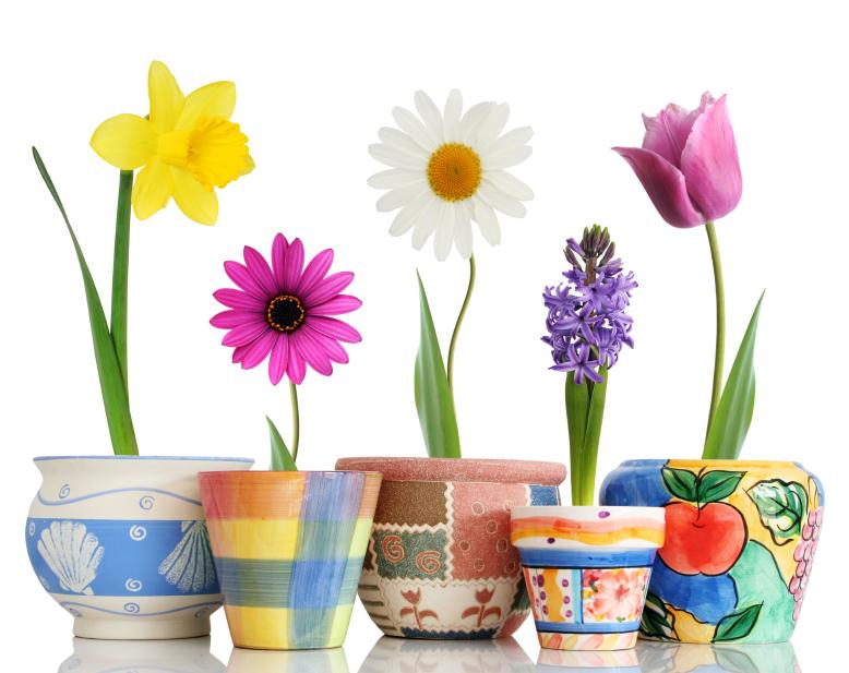 112120-778x617-Spring-Flowers-in-Pots.jpg