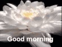 2d8115f9afcbe1cfed5a41b38e724e03.gif