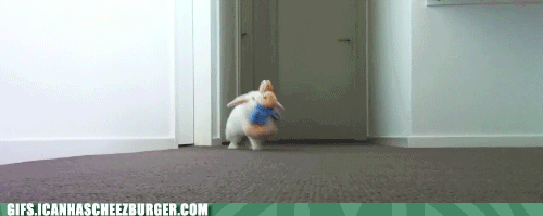 the-cutest-thing-you-will-see-all-day