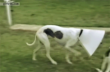 15ffd65662089918cecc2e6eb2c6ad67.gif