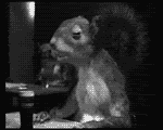 VhiQku1.gif