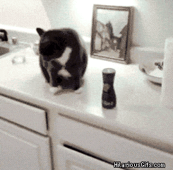szgu2Az.gif