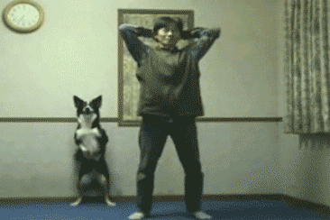 giphy.gif