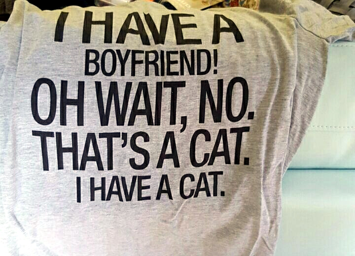tshirt_cat-not-boyfriend.jpg