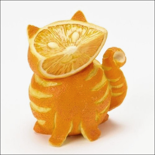 orange-cat.jpg