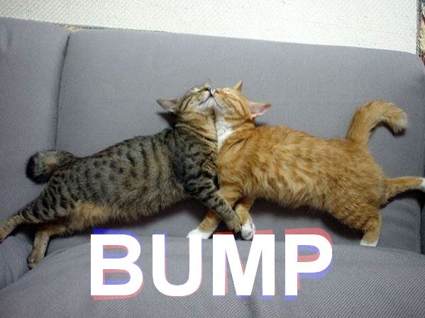 lets-bumpcat-pic.jpg