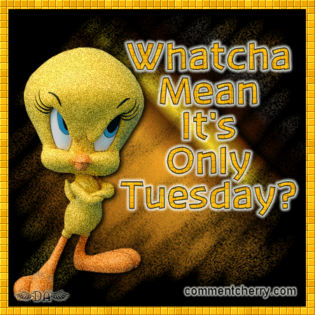 20105tuesday_01.gif