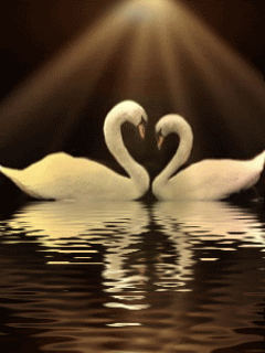 z225583316.gif