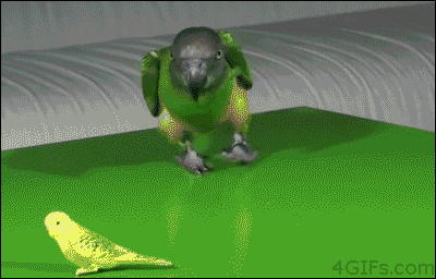 b6e5893e14831b9c856d92081e47442f.gif