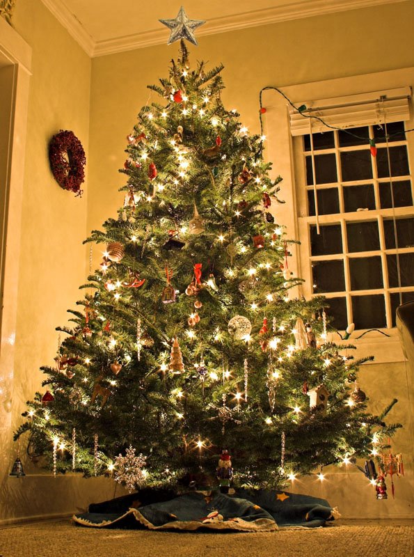 Christmas-Tree-0001-765725.jpg