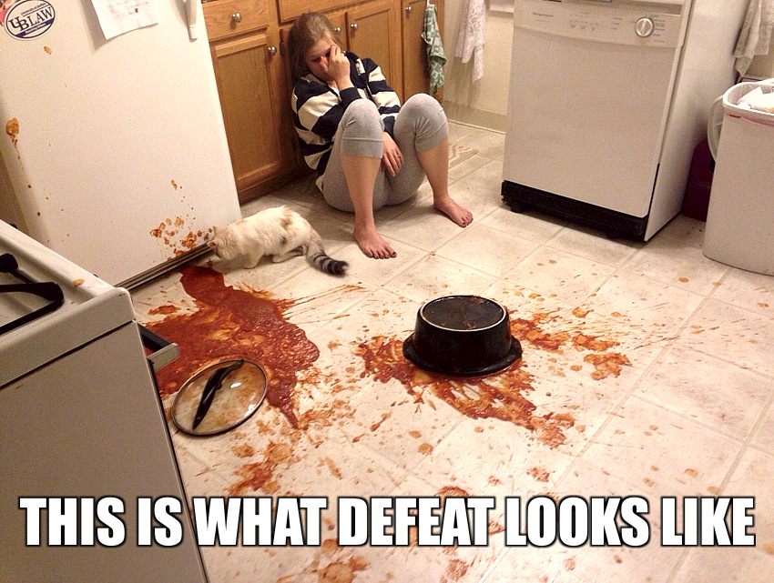 kitchen-spill-looks-like-defeat.jpg