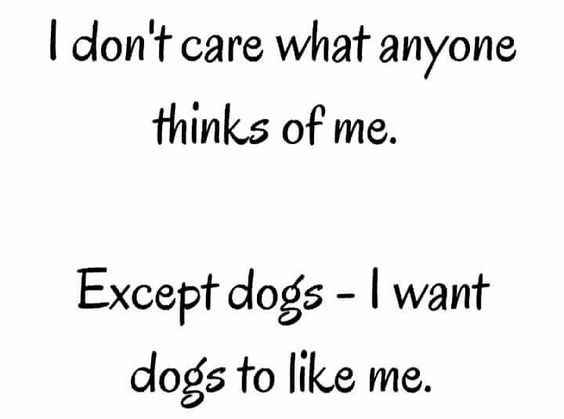 20580191a8acc3a78a387e41bbd540c4.jpg