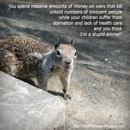 Stupidanimal.jpg