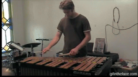 ani_cat-xylophone-troll.gif